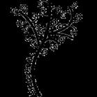 PeaceTree Counseling and Consulting
