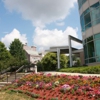 Winston J Scott MD gallery