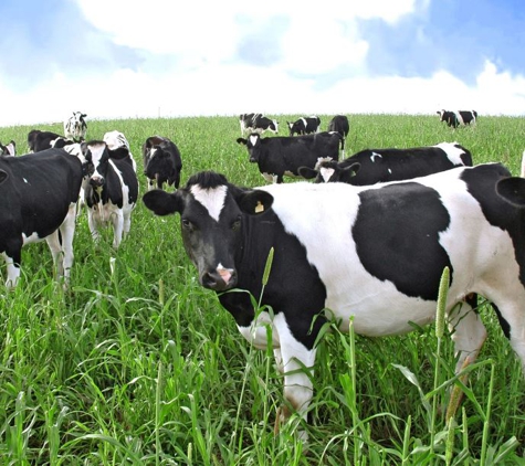 Farmers Breeding Supplies - Darling Heights, QLD