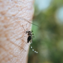 Havard Pest Control - Pest Control Equipment & Supplies