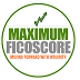 Maximum Fico Score