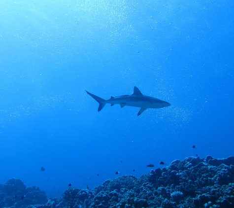 FINZ Dive Center - Key West, FL