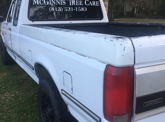 Matt Mcginnis lawn and Tree Care - lakeland, FL