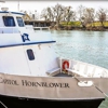 City Cruises Sacramento gallery