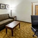 Comfort Suites Kansas City-Liberty - Motels
