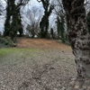 MACD Land Clearing gallery