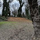 MACD Land Clearing