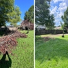 First Chantz Tree Service gallery