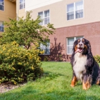 Homewood Suites by Hilton Rochester/Henrietta