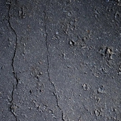 Gallery Image Number 6