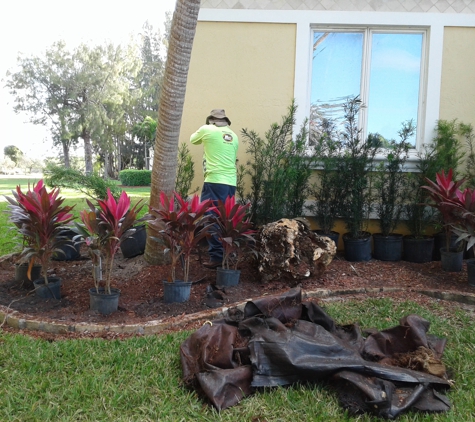 William Landscaping service LLC - Fort Lauderdale, FL