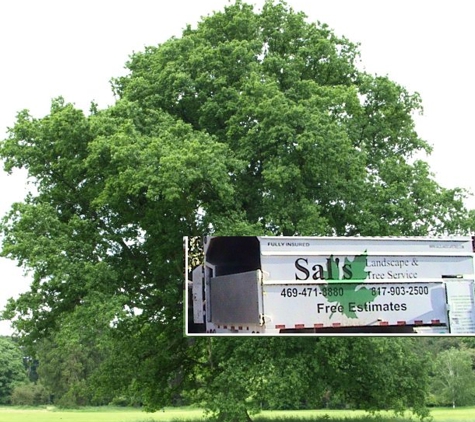 Sal's Landscape & Tree Service - Irving, TX