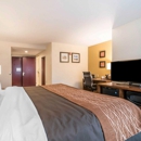 Comfort Inn & Suites Brattleboro I-91 - Motels