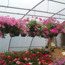 artisan florist - Florists