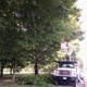 Marshall's Tree Service LLC