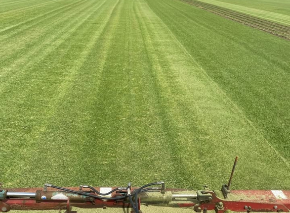 OB Turf - Bolwarra, NSW