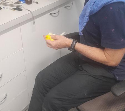 Bird Vet Melbourne - Burwood, VIC