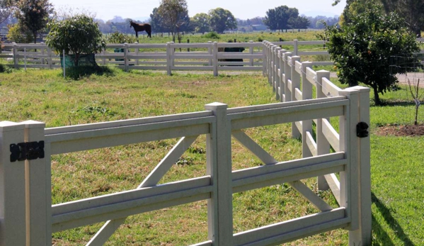 Taree Veterinary Hospital - Taree, NSW