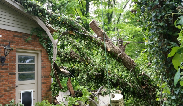 AMER TREE XPERTS  & LNDSCPNG - Evansville, IN. Are the trees on your property safe? Call American Tree Experts & Landscaping for a free consultation.