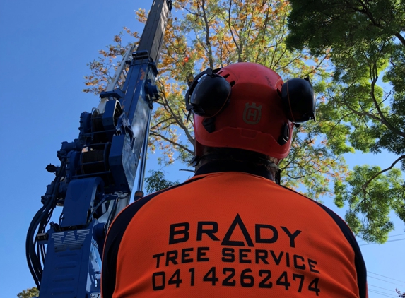 Brady Tree Service Pty Ltd - Kurrajong Heights, NSW