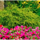 RE-Vitalize Yard & Home Services - Janitorial Service