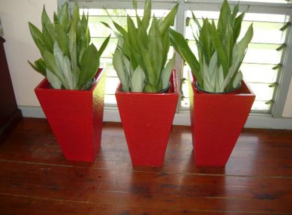 Quality Indoor Plants Hire - Girraween, NT