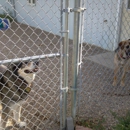 Howling Hills Canine Campus - Pet Boarding & Kennels