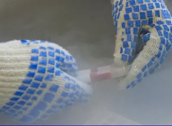 Freezit Cryogenics - Newcastle - Warners Bay, NSW