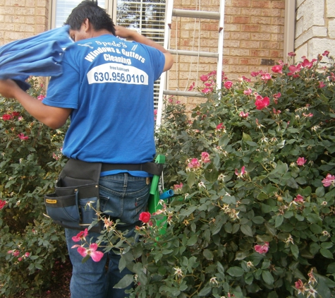 Spede's Windows & Gutters Cleaning - Westmont, IL
