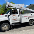 Pignatelli Electrical Contractors