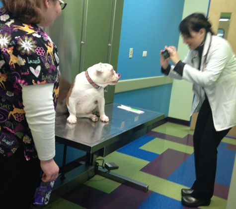 Portage Park Animal Hospital & Dental Clinic - Chicago, IL