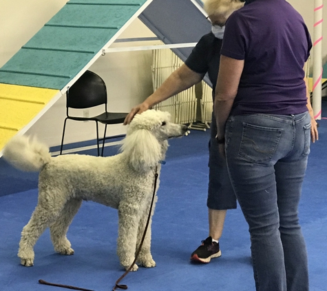 Topnotch K9 Training - Pleasanton, CA