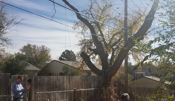 GE Tree Service - Englewood, CO