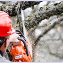 All American Tree Service Inc. - Arborists