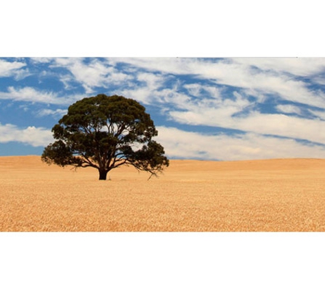 Regional Council of Goyder - Burra Principal Office - Burra, SA. Wheat Crop, Hallett