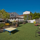 Santa Barbara Apartments - Apartments