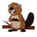 Beaver Run Lumber - Lumber-Wholesale