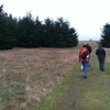 Greenbank Farm gallery