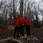 JCR Tree Service