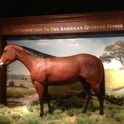 American Quarter Horse Association