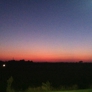 Photo #11