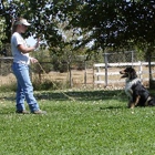 O'Brien Boarding & Training Kennel