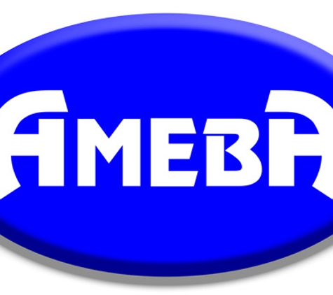 Ameba Technology - Flushing, NY