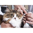 La Mirada Animal Health Center - Veterinarians