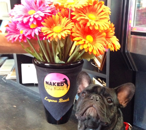 Naked Dog Bistro - Laguna Beach, CA