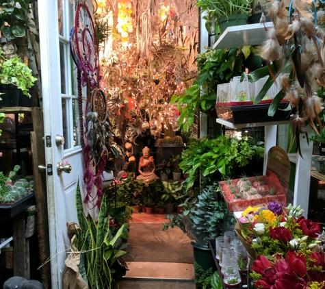 East Village Florist - New York, NY