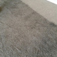 Elite Carpet Cleaning