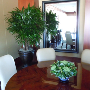 Cityscape Interiors Tropical Plant Service - Dallas, TX