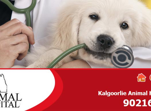 The Animal Hospital - Kalgoorlie, WA