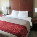 Comfort Inn Altoona-Des Moines - Motels